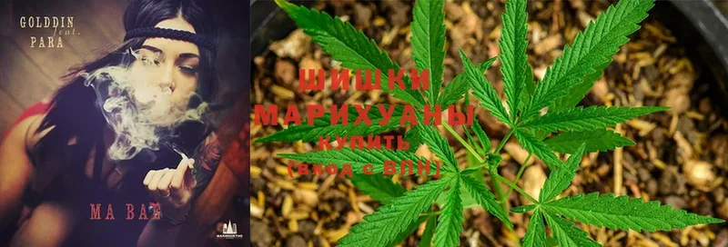 Марихуана THC 21%  МЕГА маркетплейс  Ливны 